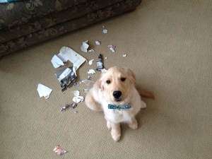 "I like C.S. Lewis too, dad."